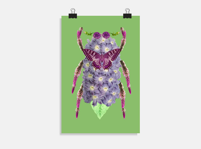 Posters Insecte Livraison Gratuite Tostadora Fr