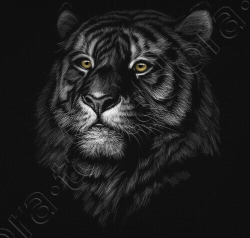 Camiseta Cabeza Tigre N Latostadora