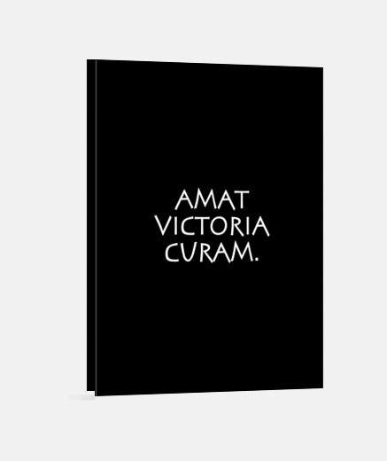 Wall amat victoria curam