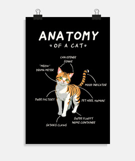 anatomie du chat - idée cadeau drôle, mignonne et chat