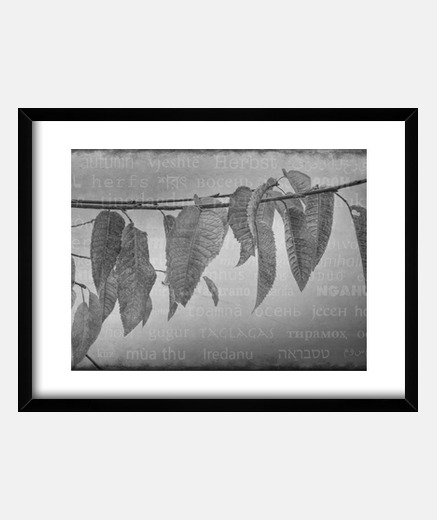 Framed autumn leaves