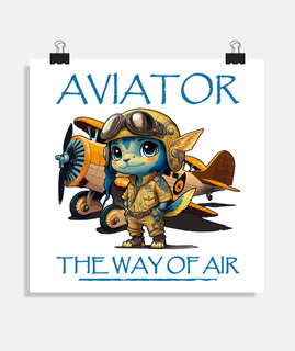 AVIATEUR avion aviation