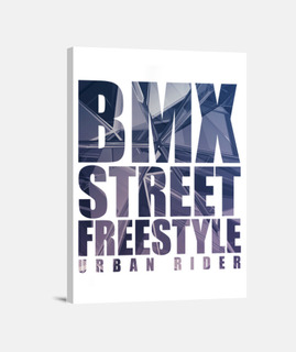 bmx street freestyle urban rider