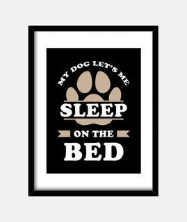 cama de perro diciendo