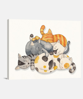 Cat Nap - Siesta Time