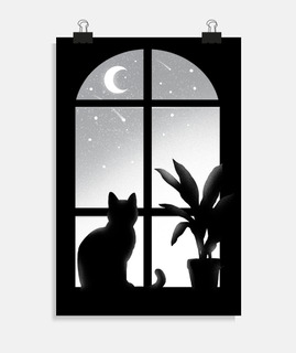 Cat window - Kitty looking stars - infi