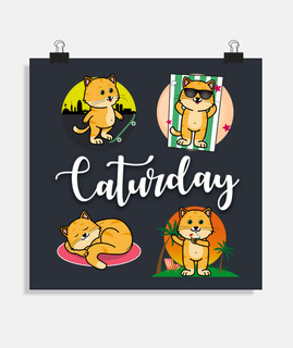 chats le samedi bad o - day catur