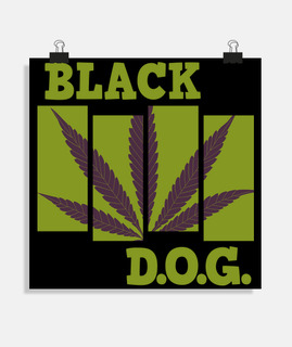 chien noir