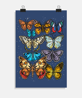 Coleccionista de Mariposas
