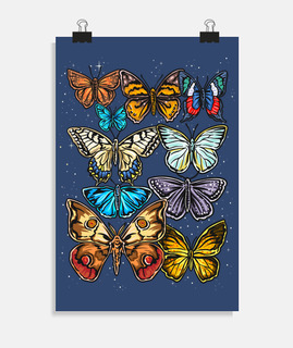 collectionneur de papillons