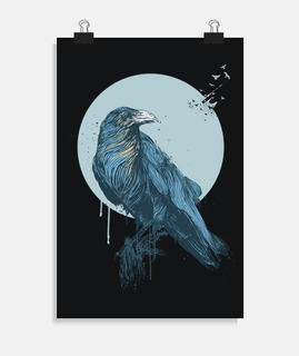 corbeau bleu - foncé