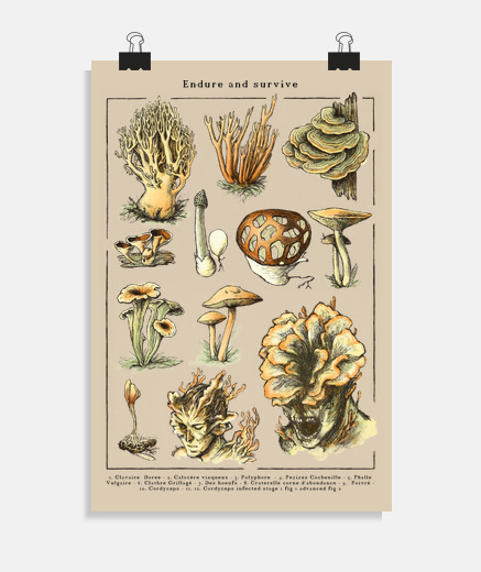 Poster cordyceps - le les d39entre nous - endu