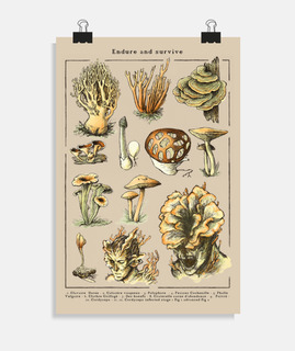 cordyceps - le les d39entre nous - endu