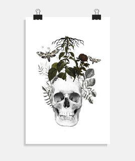 Crâne avec des fleurs et des plantes