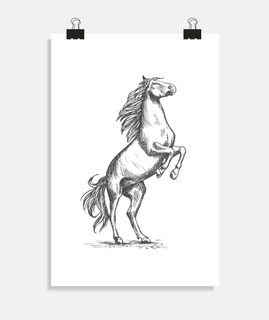 Dessin cheval cabré poney t-shirt équit