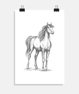 Dessin cheval poney t-shirt équitation