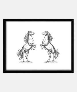 Dessin chevaux cabrés 2 poney t-shirt équitation