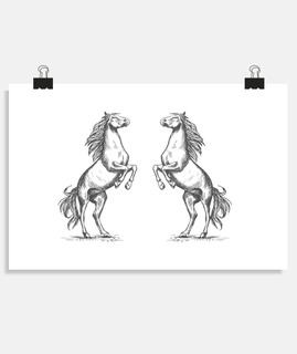 Dessin chevaux cabrés 2 poney t-shirt équitation