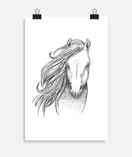 Dessin crinière cheval t-shirt équitati