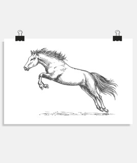 Dessin saut cheval poney t-shirt équitation