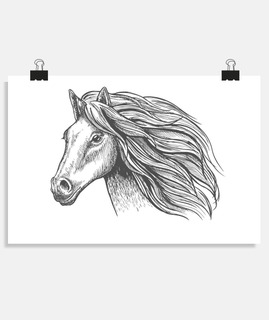Dessin tête cheval 2 t-shirt équitation