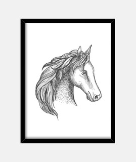 Dessin tête cheval t-shirt équitation