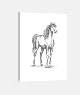 dibujo caballo pony camiseta montar