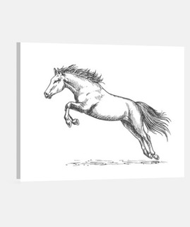 dibujo caballo saltando pony camiseta equitación