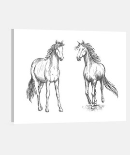 dibujo caballos pony camiseta equitació