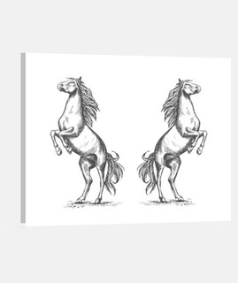 dibujo de caballos encabritado pony cam