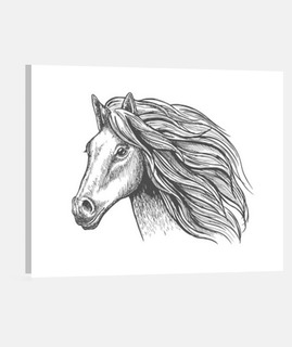 dibujo de cabeza de caballo camiseta montar