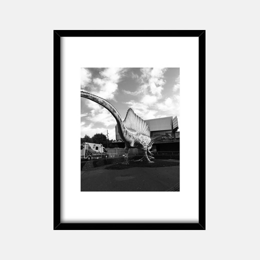 Quadro Dino Cornice Con Cornice Nera Verticale 3 4 15 X 20 Cm Tostadora It
