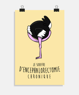 encéphalorectomie