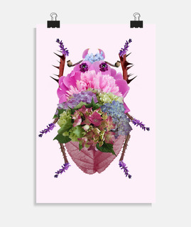 escarabajo