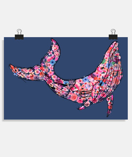 fleur de baleine
