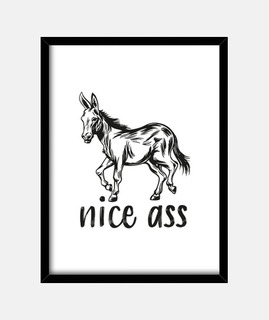 Free Nice Ass