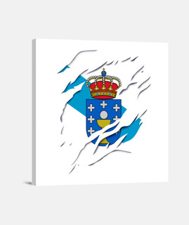 Galicia bandera y escudo de armas