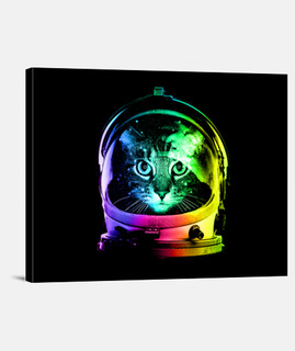 gato astronauta
