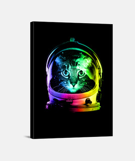 gato astronauta