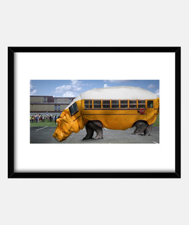 Hipopótamo bus escolar
