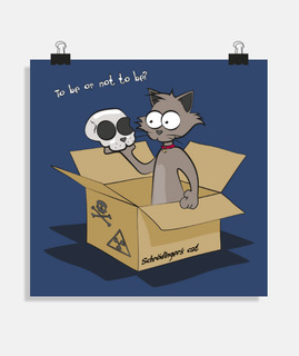 le chat de schrödinger