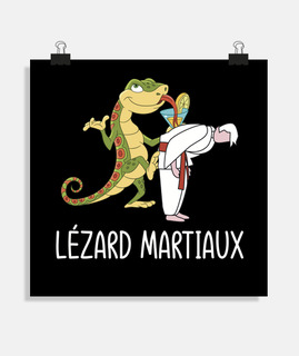 Lézard martiaux - arts martiaux