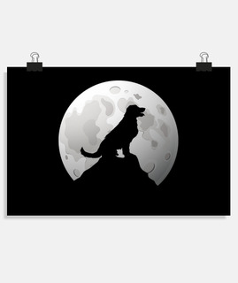 lune chien silhouette sommet de la mont