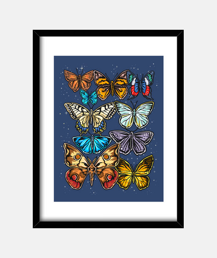 Cuadro Mariposas Bonitas Animales Insectos Naturaleza