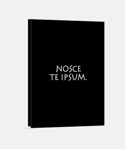 Wall nosce te ipsum