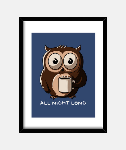 Cadre nuit hibou