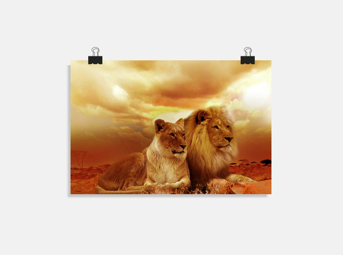 Póster pareja de leones | laTostadora