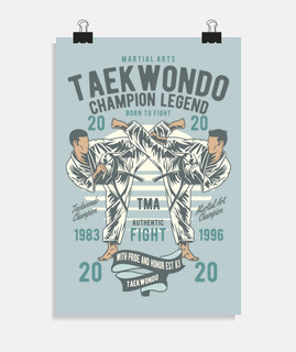 Póster Artes Marciales Deporte Corea Taekwondo