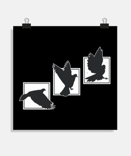 poster carre pour decoration ou home staging, Pigeons silhouette vol d oiseaux