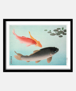 póster enmarcado carpa koi pez para, decoración, zen, yoga, japón.